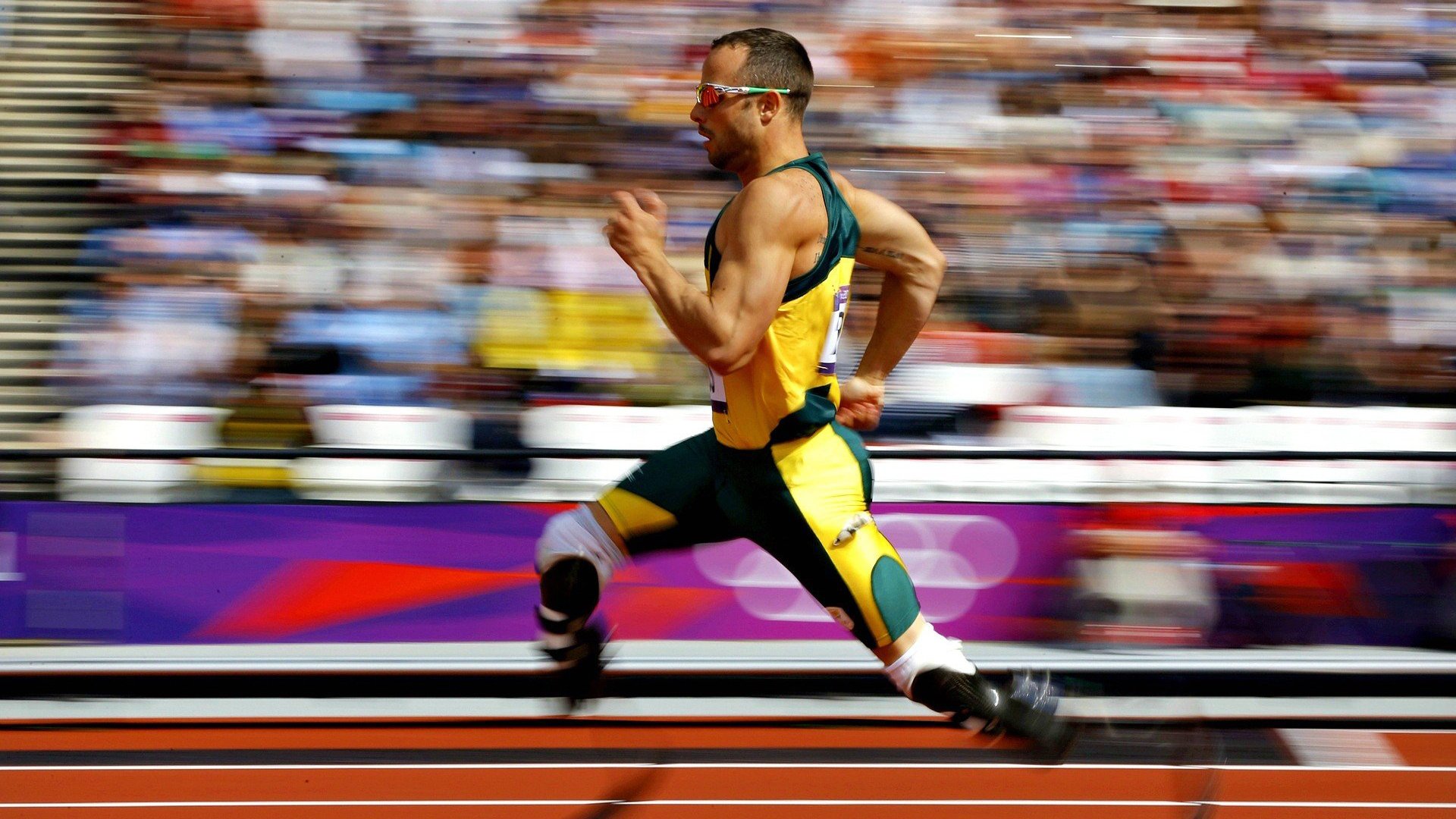 莫耶斯：桑德兰的失败，是我最珍贵的勋章，莫兰桑姆个人资料